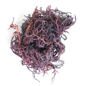 Dried Purple Sea Moss 8oz